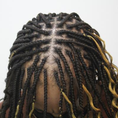 Braids 20