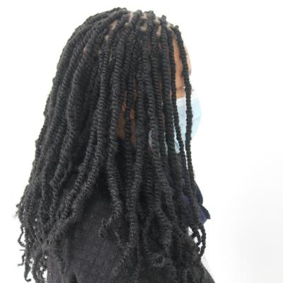 Braids 67